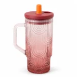 Premium Glass Sipper Tumbler with Handle